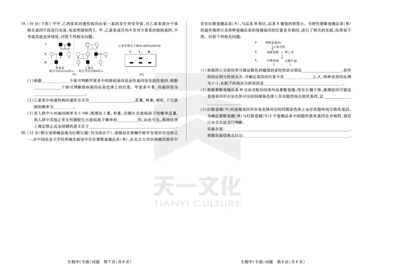 生物学专版高三安徽12月联考_A1502026各地模拟卷（超值！）_12月_241222天一大联考安徽2025届高三12月联考_高清试卷