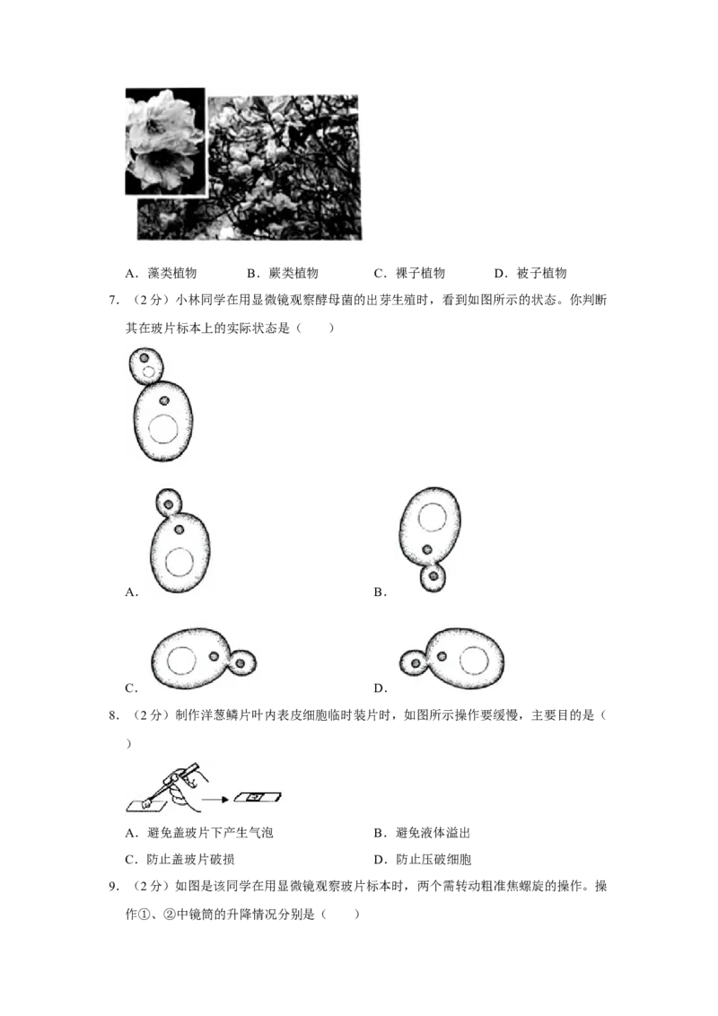 2021年山西省晋中市中考生物真题（空白卷）_❤山西历年中考真题_8.山西中考生物2018-2025