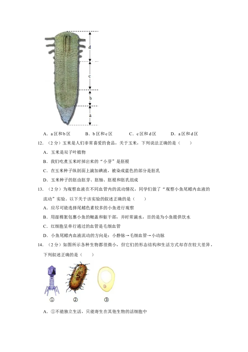 2019年山西省中考生物真题（空白卷）_❤山西历年中考真题_8.山西中考生物2018-2025