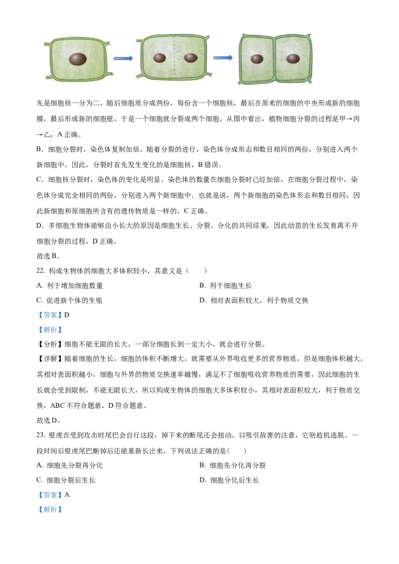 精品解析：北京市第四中学2022-2023学年七年级上学期期中生物试题（解析版）(1)_北京初中期末题_C605-京七八九_B京生物七八九_北京7上生物_2022-2024_北京生物7上期中