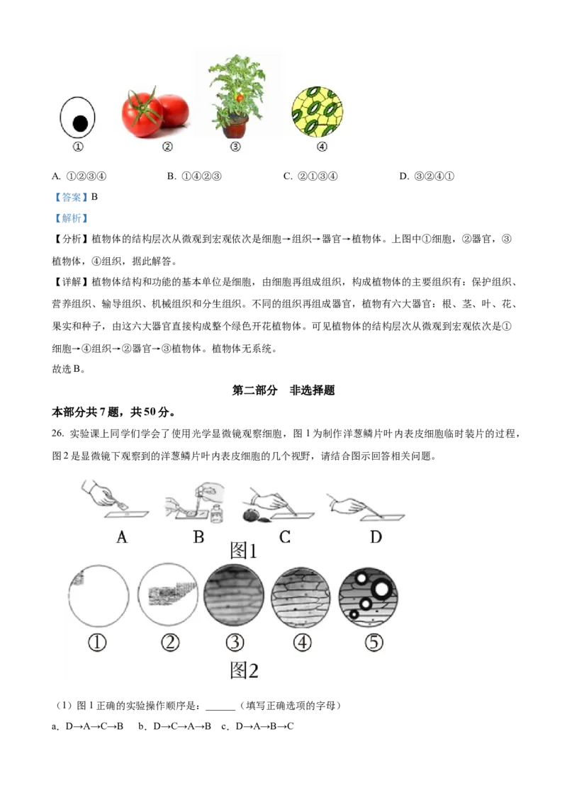 精品解析：北京市第四中学2022-2023学年七年级上学期期中生物试题（解析版）(1)_北京初中期末题_C605-京七八九_B京生物七八九_北京7上生物_2022-2024_北京生物7上期中