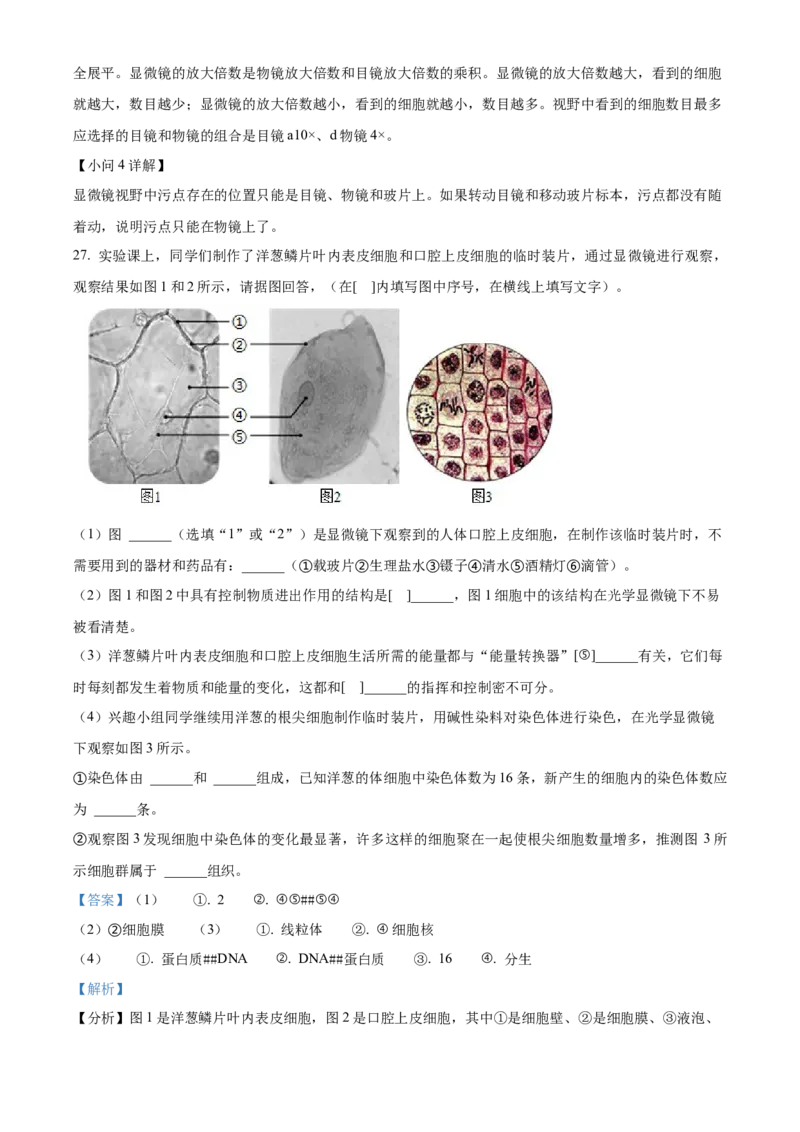 精品解析：北京市第四中学2022-2023学年七年级上学期期中生物试题（解析版）(1)_北京初中期末题_C605-京七八九_B京生物七八九_北京7上生物_2022-2024_北京生物7上期中