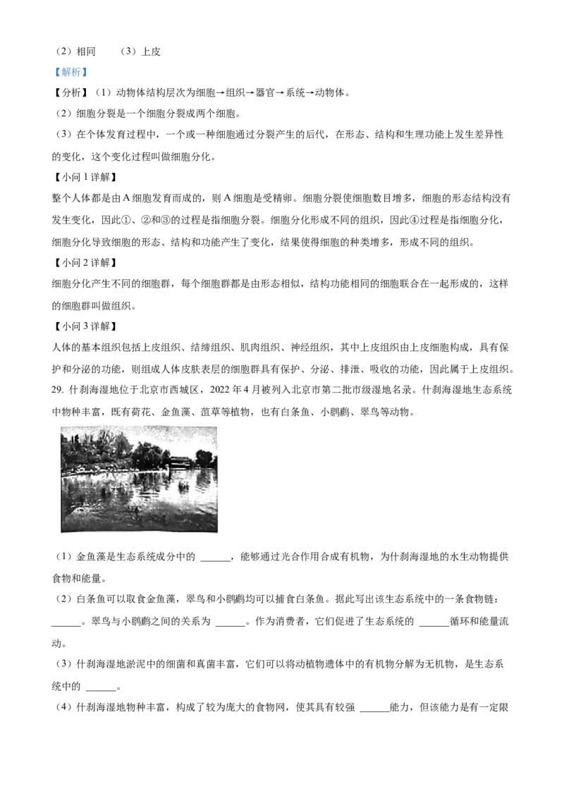 精品解析：北京市第四中学2022-2023学年七年级上学期期中生物试题（解析版）(1)_北京初中期末题_C605-京七八九_B京生物七八九_北京7上生物_2022-2024_北京生物7上期中