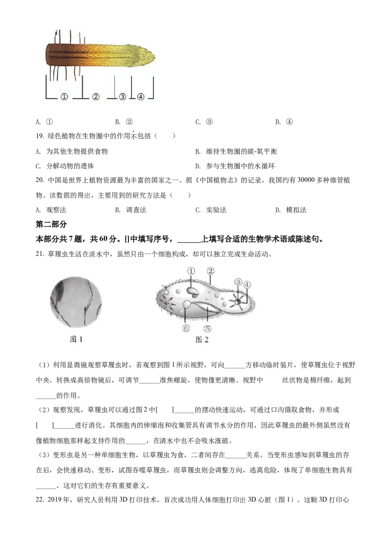 精品解析：北京市西城区2021-2022学年七年级上学期期末生物试题（原卷版）(1)_北京初中期末题_C605-京七八九_B京生物七八九_北京7上生物_2021-2022