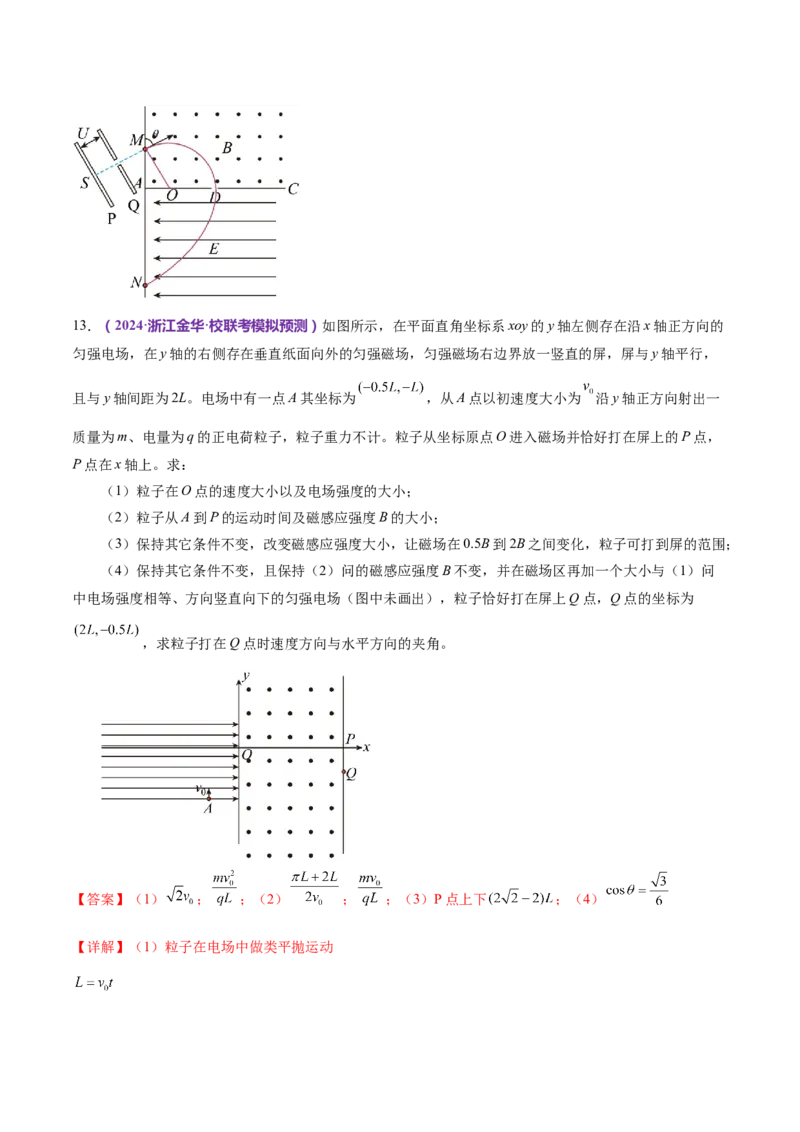 专题11带电粒子在复合场中的运动（练习）（解析版）_4.2025物理总复习_2024年新高考资料_2.2024二轮复习_2024年高考物理二轮复习讲练测（新教材新高考）