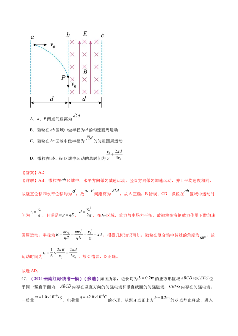 专题11带电粒子在复合场中的运动（练习）（解析版）_4.2025物理总复习_2024年新高考资料_2.2024二轮复习_2024年高考物理二轮复习讲练测（新教材新高考）