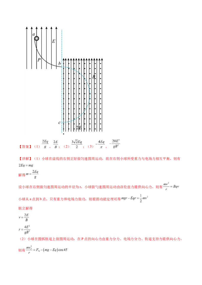 专题11带电粒子在复合场中的运动（练习）（解析版）_4.2025物理总复习_2024年新高考资料_2.2024二轮复习_2024年高考物理二轮复习讲练测（新教材新高考）