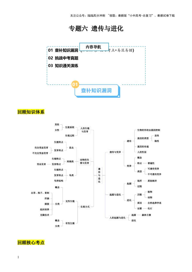 专题六遗传与进化（原版卷）_02中考总复习（2026版更新中）_08-生物-中考总复习_2024年中考复习资料_三轮复习_查漏补缺2024年中考生物复习冲刺过关（全国通用）_查补知识&middot;通关练