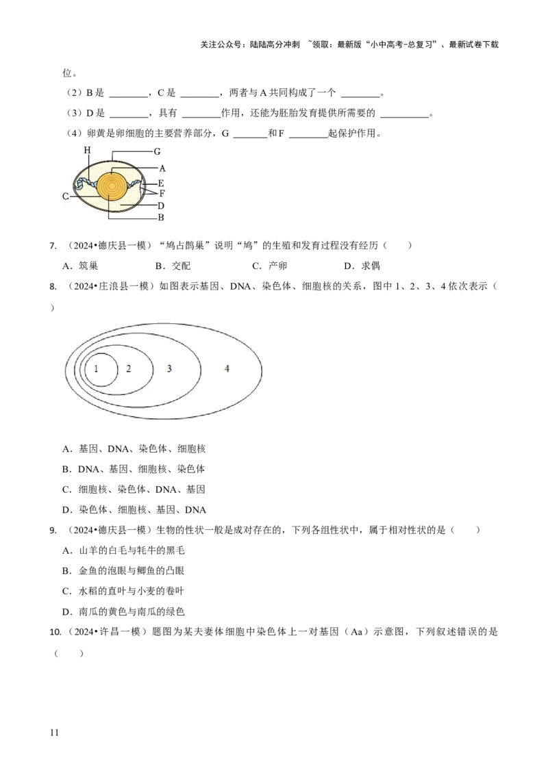 专题六遗传与进化（原版卷）_02中考总复习（2026版更新中）_08-生物-中考总复习_2024年中考复习资料_三轮复习_查漏补缺2024年中考生物复习冲刺过关（全国通用）_查补知识&middot;通关练