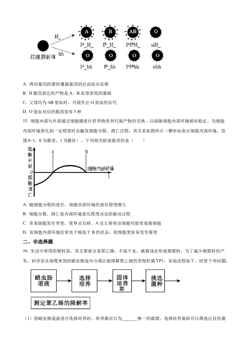 福建省泉州五校联考2024-2025学年高三上学期11月期中生物试题Word版无答案_A1502026各地模拟卷（超值！）_11月_241125福建省泉州市五校2024-2025学年高三上学期11月期中联考