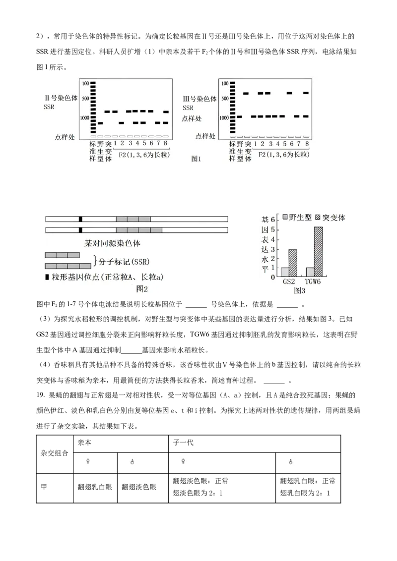 福建省泉州五校联考2024-2025学年高三上学期11月期中生物试题Word版无答案_A1502026各地模拟卷（超值！）_11月_241125福建省泉州市五校2024-2025学年高三上学期11月期中联考