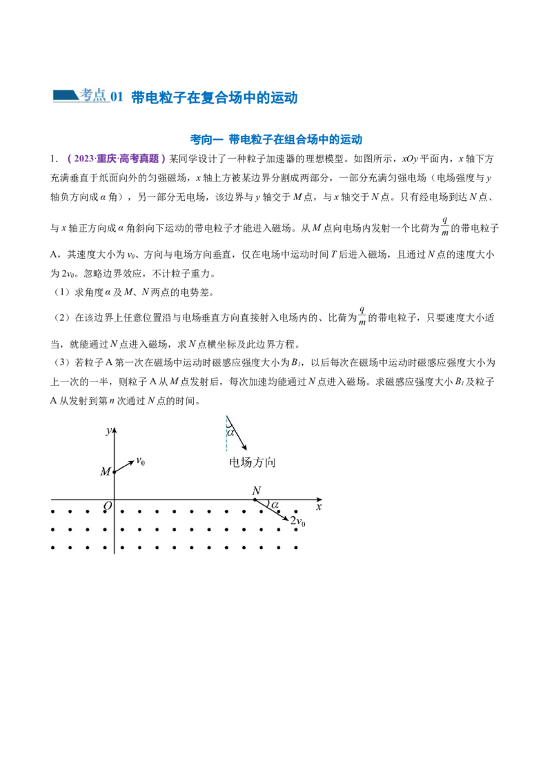 专题11带电粒子在复合场中的运动（练习）（原卷版）_4.2025物理总复习_2024年新高考资料_2.2024二轮复习_2024年高考物理二轮复习讲练测（新教材新高考）