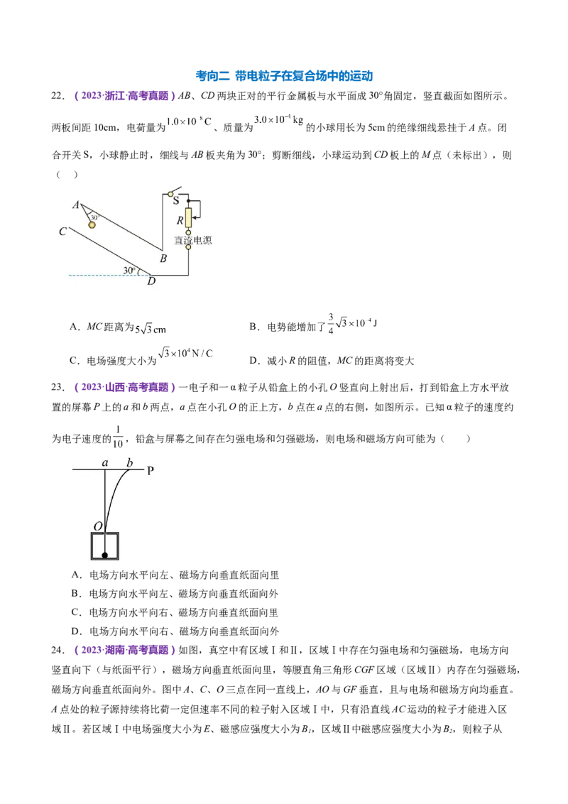 专题11带电粒子在复合场中的运动（练习）（原卷版）_4.2025物理总复习_2024年新高考资料_2.2024二轮复习_2024年高考物理二轮复习讲练测（新教材新高考）