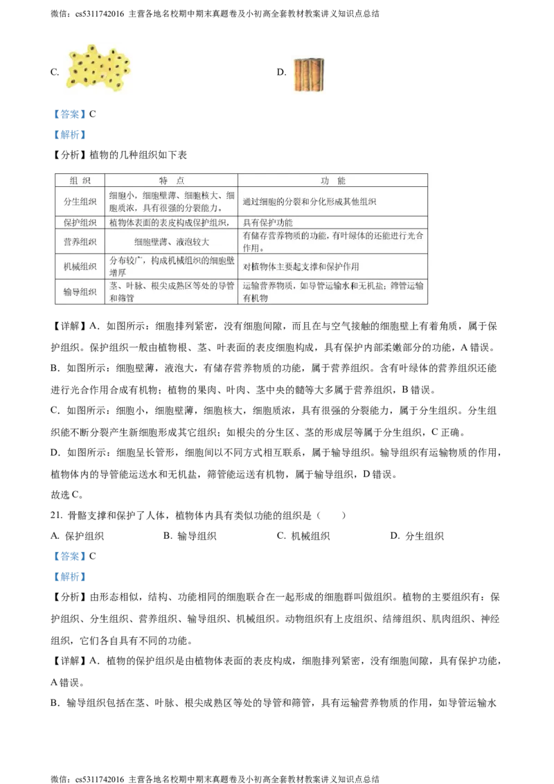 精品解析：北京师范大学附属中学2023-2024学年七年级上学期期中生物试卷（解析版）(1)_北京初中期末题_C605-京七八九_B京生物七八九_北京7上生物_2022-2024_北京生物7上期中