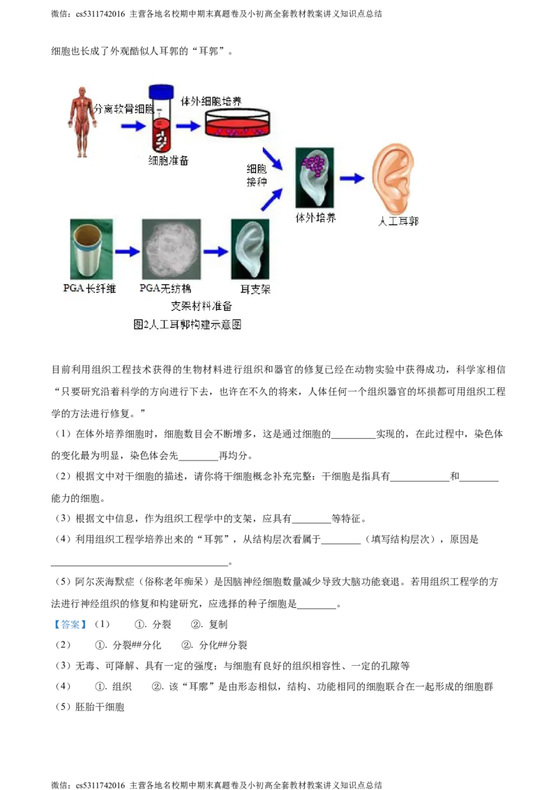 精品解析：北京师范大学附属中学2023-2024学年七年级上学期期中生物试卷（解析版）(1)_北京初中期末题_C605-京七八九_B京生物七八九_北京7上生物_2022-2024_北京生物7上期中