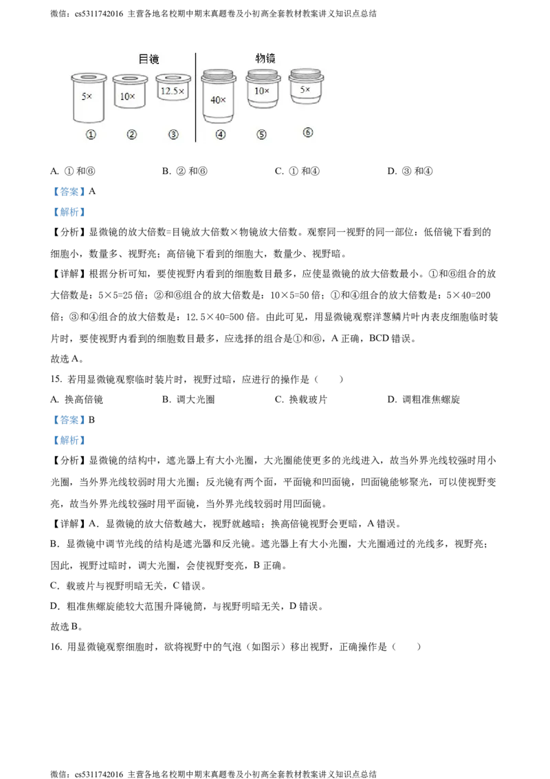精品解析：北京师范大学附属中学2023-2024学年七年级上学期期中生物试卷（解析版）(1)_北京初中期末题_C605-京七八九_B京生物七八九_北京7上生物_2022-2024_北京生物7上期中
