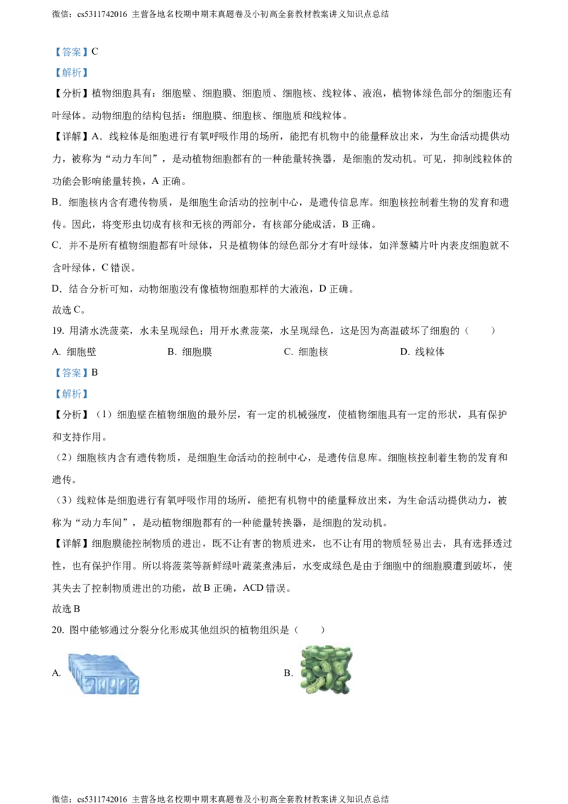 精品解析：北京师范大学附属中学2023-2024学年七年级上学期期中生物试卷（解析版）(1)_北京初中期末题_C605-京七八九_B京生物七八九_北京7上生物_2022-2024_北京生物7上期中