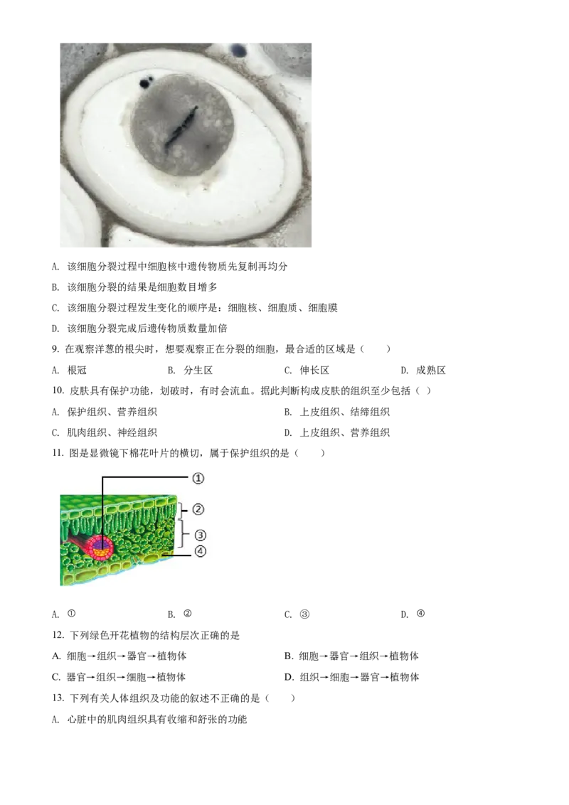 精品解析：北京市顺义区2021-2022学年七年级上学期期末生物试题（原卷版）(1)_北京初中期末题_C605-京七八九_B京生物七八九_北京7上生物_2021-2022