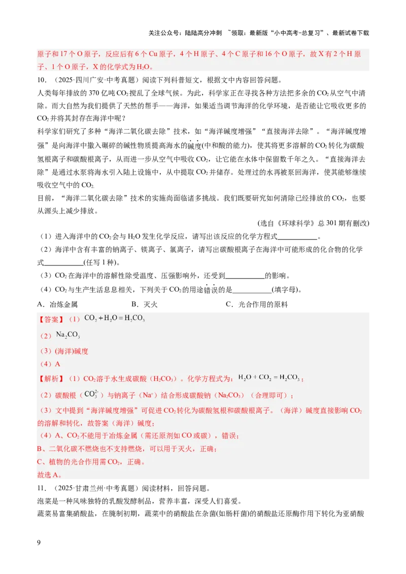 专题24阅读理解题（解析版）_02中考总复习（2026版更新中）_05-化学-中考总复习_2026年中考复习（更新中）_好题汇编三年（2023-2025）中考化学真题分类汇编（全国通用）