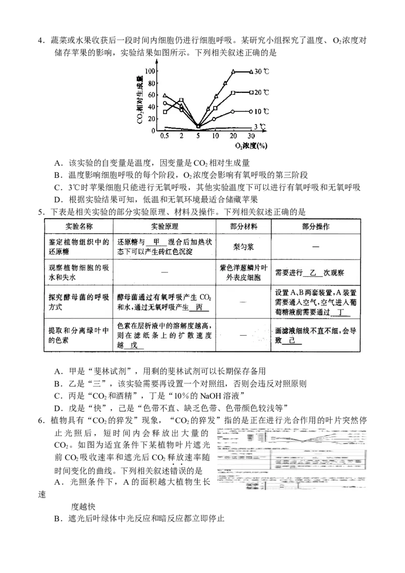 生物-副本_A1502026各地模拟卷（超值！）_10月_241016河南省新高中创新联盟TOP二十名校2024-2025学年高三上学期10月调研考试