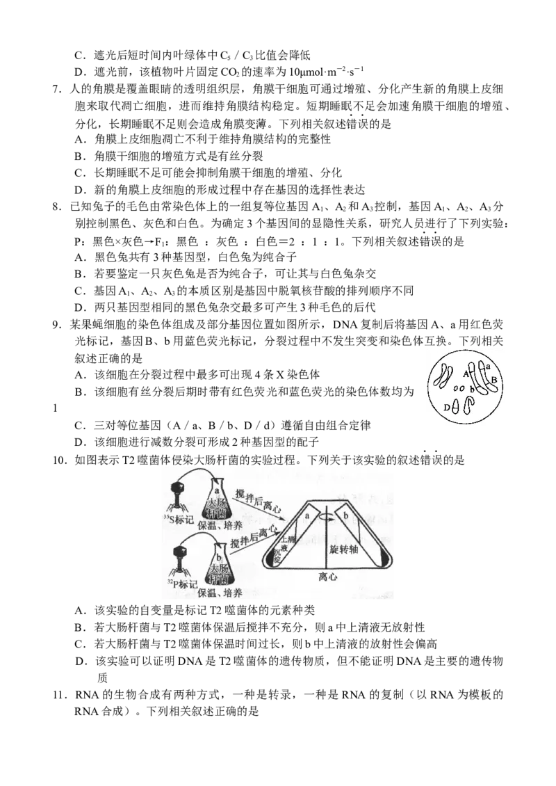 生物-副本_A1502026各地模拟卷（超值！）_10月_241016河南省新高中创新联盟TOP二十名校2024-2025学年高三上学期10月调研考试