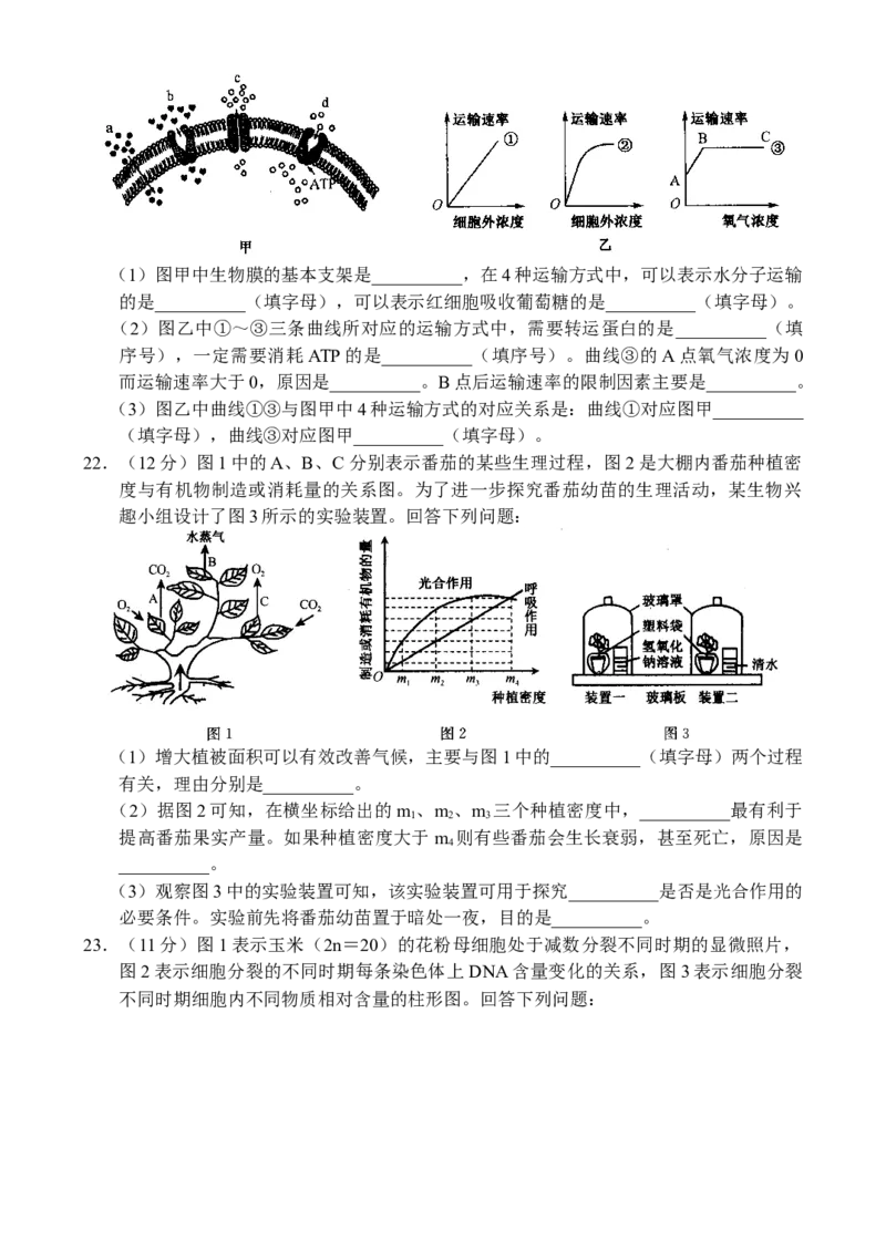 生物-副本_A1502026各地模拟卷（超值！）_10月_241016河南省新高中创新联盟TOP二十名校2024-2025学年高三上学期10月调研考试