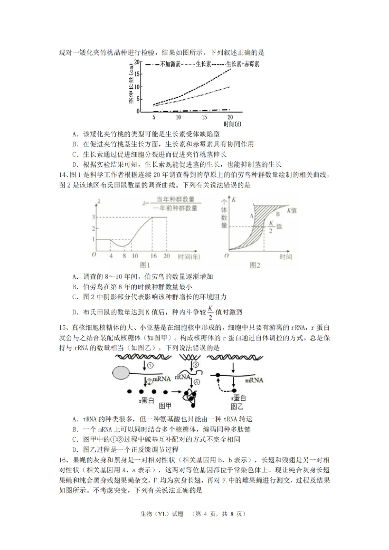 （YL)生物试题_A1502026各地模拟卷（超值！）_9月_240912湖南省长沙市雅礼中学2024-2025学年高三上学期（9月）综合自主测试