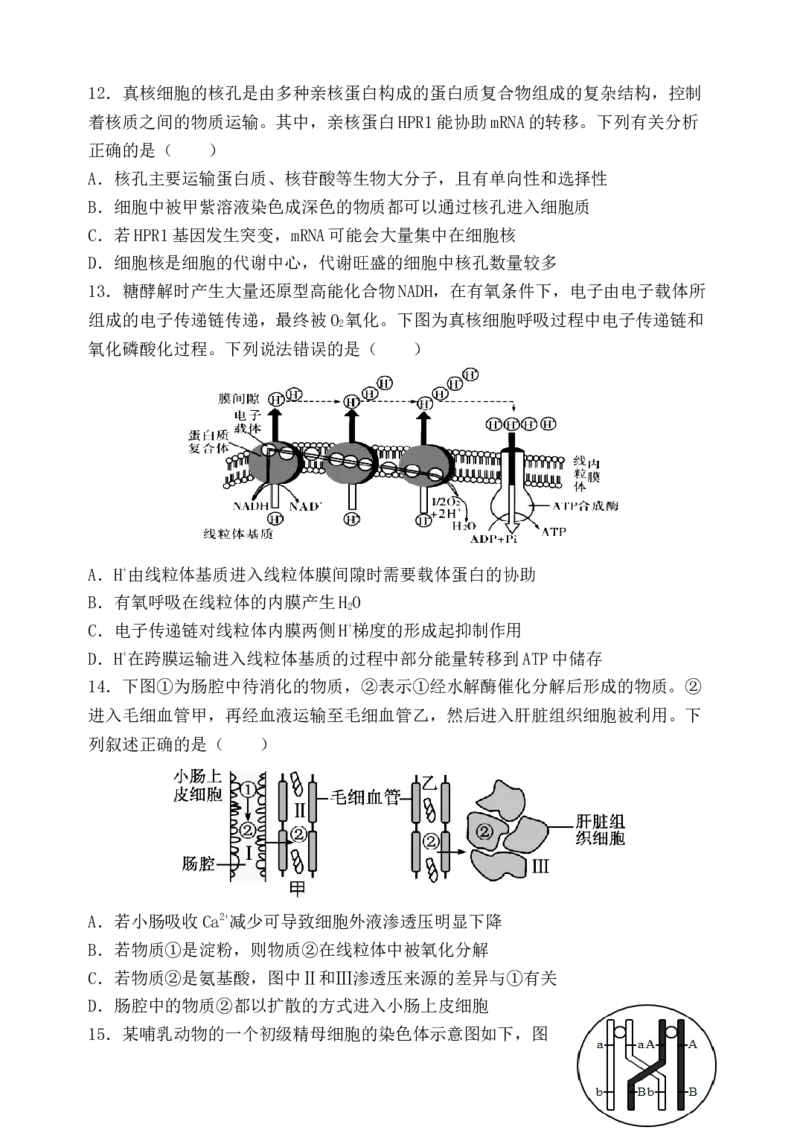 福建省福州市八县（市）协作校2024-2025学年高三上学期期中联考试题生物Word版含答案_A1502026各地模拟卷（超值！）_11月