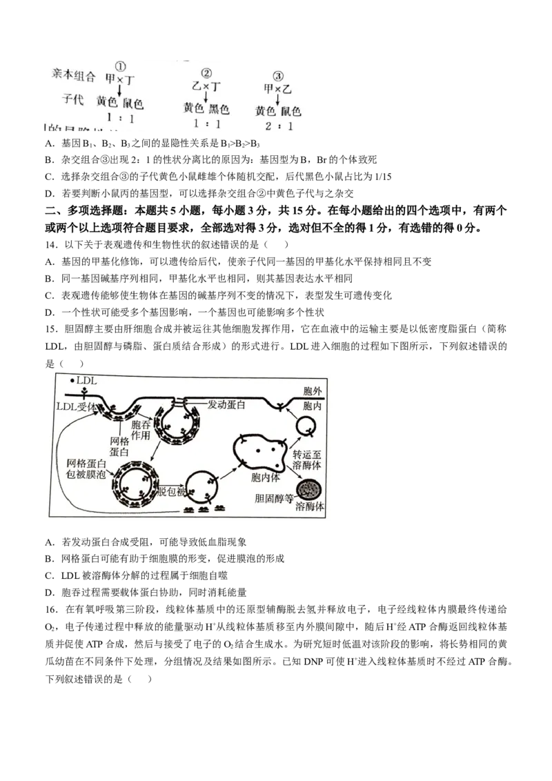 河北省承德市2024-2025学年高三上学期期中考试生物试卷（含答案）_A1502026各地模拟卷（超值！）_11月_241127河北省承德市2024-2025学年高三上学期期中考试（金太阳25-122C）
