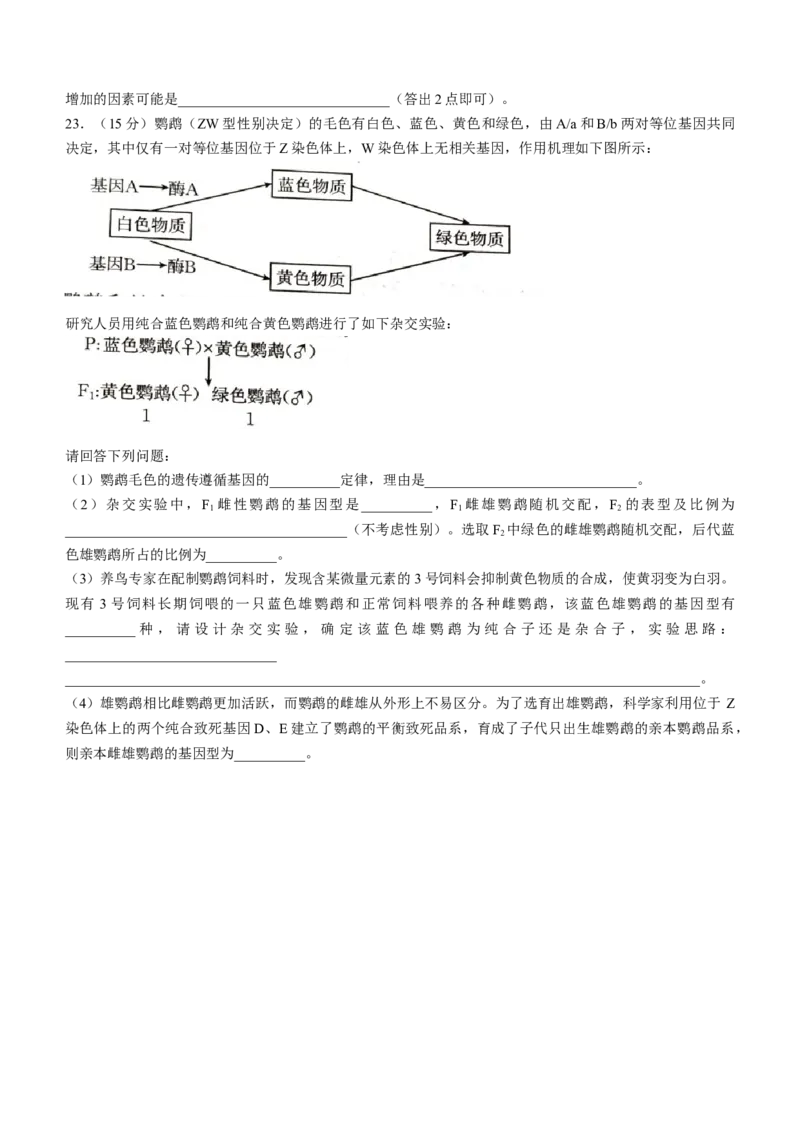 河北省承德市2024-2025学年高三上学期期中考试生物试卷（含答案）_A1502026各地模拟卷（超值！）_11月_241127河北省承德市2024-2025学年高三上学期期中考试（金太阳25-122C）