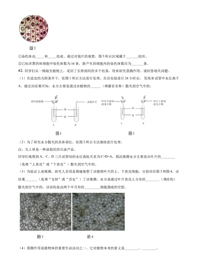 精品解析：北京市海淀区2019-2020学年上学期七年级期末生物试题（原卷版）(1)_北京初中期末题_C605-京七八九_B京生物七八九_北京7上生物_2019-2020