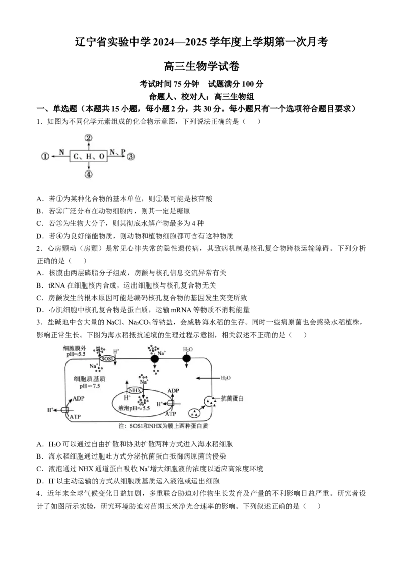辽宁省实验中学2024-2025学年高三上学期10月月考生物试题(含答案）_A1502026各地模拟卷（超值！）_10月_241011辽宁省实验中学2024-2025学年高三上学期10月月考
