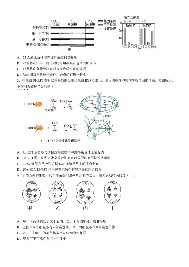 辽宁省实验中学2024-2025学年高三上学期10月月考生物试题(含答案）_A1502026各地模拟卷（超值！）_10月_241011辽宁省实验中学2024-2025学年高三上学期10月月考