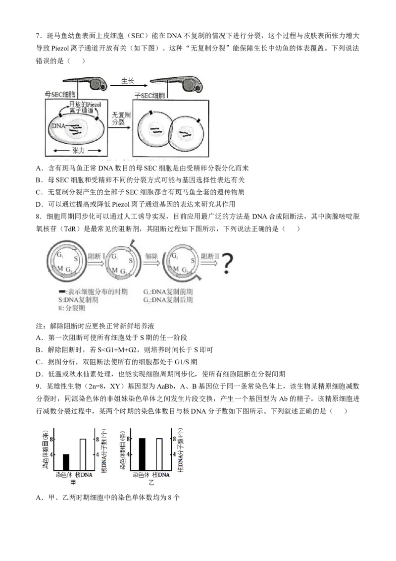 辽宁省实验中学2024-2025学年高三上学期10月月考生物试题(含答案）_A1502026各地模拟卷（超值！）_10月_241011辽宁省实验中学2024-2025学年高三上学期10月月考