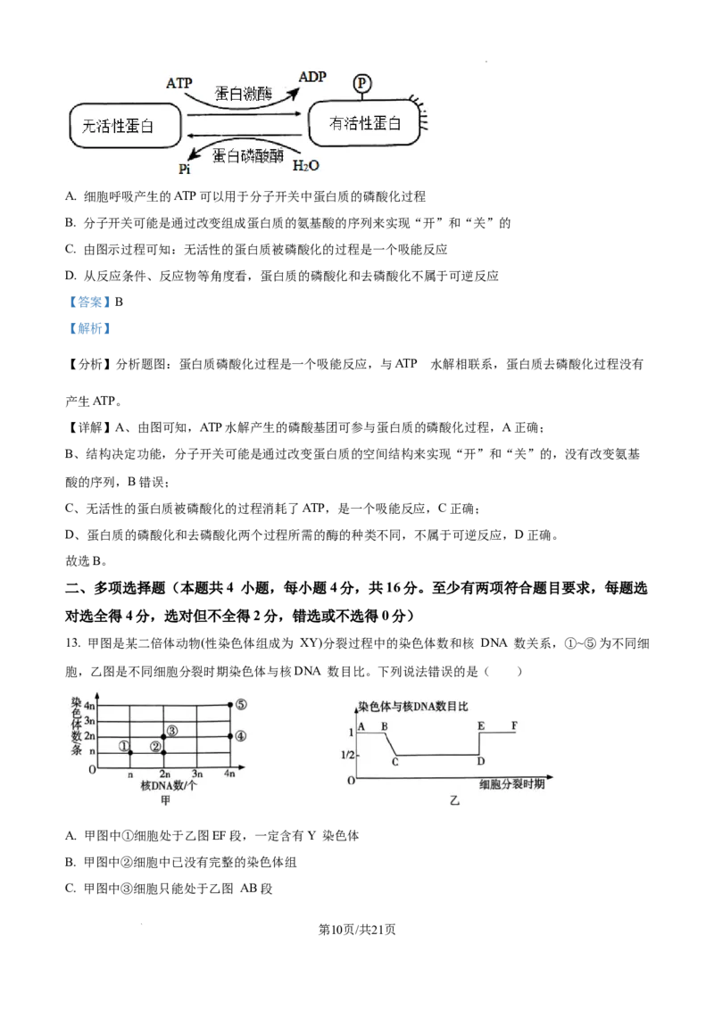 江西省南昌市第十中学2024-2025学年高三上学期第一次月考生物答案_A1502026各地模拟卷（超值！）_10月_241025江西省南昌市第十中学2024-2025学年高三上学期第一次月考（全）
