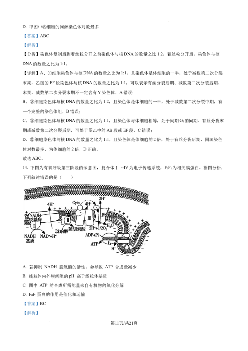 江西省南昌市第十中学2024-2025学年高三上学期第一次月考生物答案_A1502026各地模拟卷（超值！）_10月_241025江西省南昌市第十中学2024-2025学年高三上学期第一次月考（全）