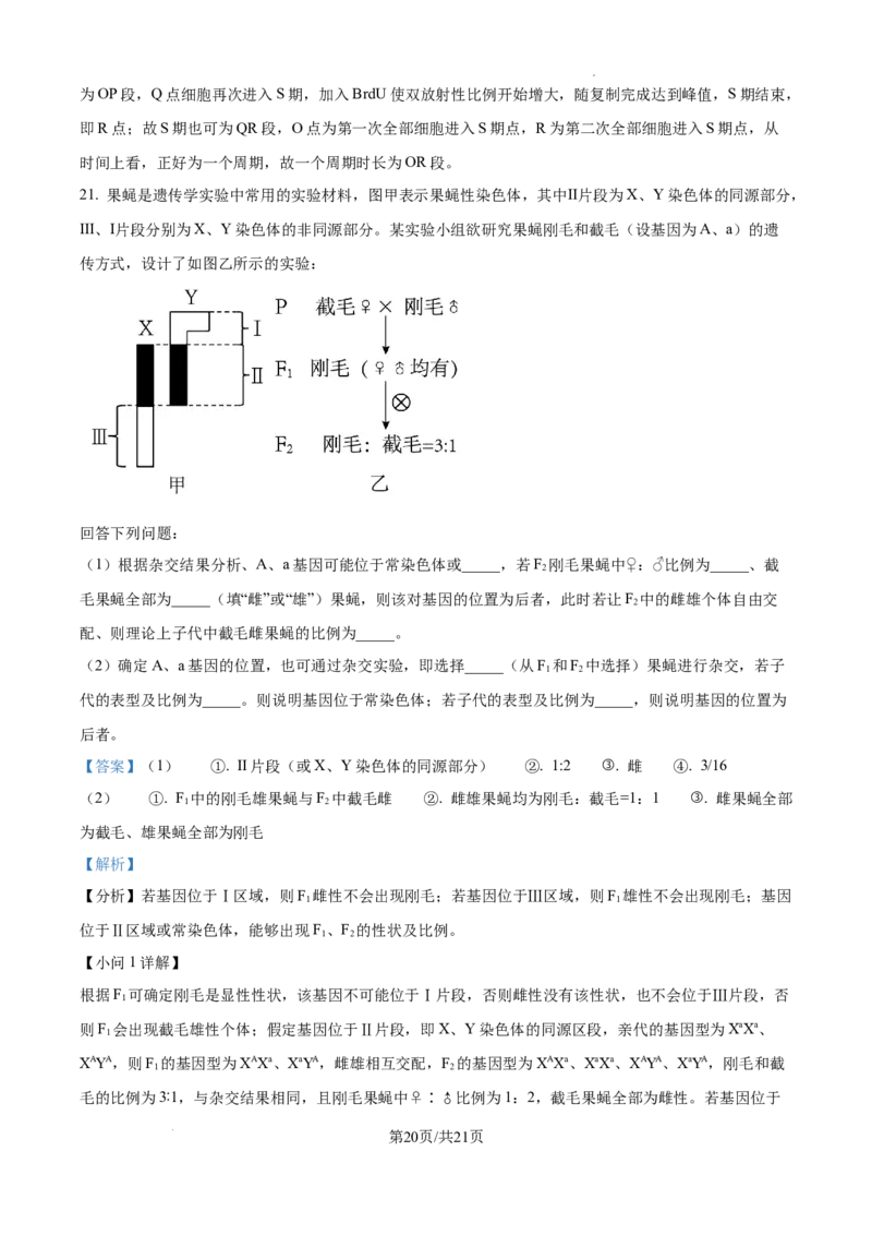 江西省南昌市第十中学2024-2025学年高三上学期第一次月考生物答案_A1502026各地模拟卷（超值！）_10月_241025江西省南昌市第十中学2024-2025学年高三上学期第一次月考（全）