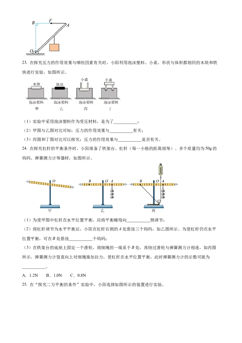 精品解析：北京市朝阳区2022~2023学年八年级下学期期末物理试题（原卷版）(1)_北京初中期末题_C605-京七八九_B京物理八九_物理_八年级下学期物理_2022-2023