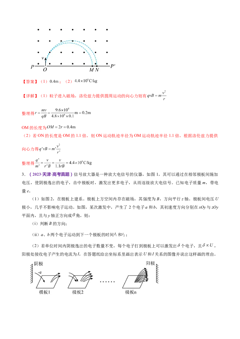 专题10磁场带电粒子在磁场中的运动（练习）（解析版）_4.2025物理总复习_2024年新高考资料_2.2024二轮复习_2024年高考物理二轮复习讲练测（新教材新高考）
