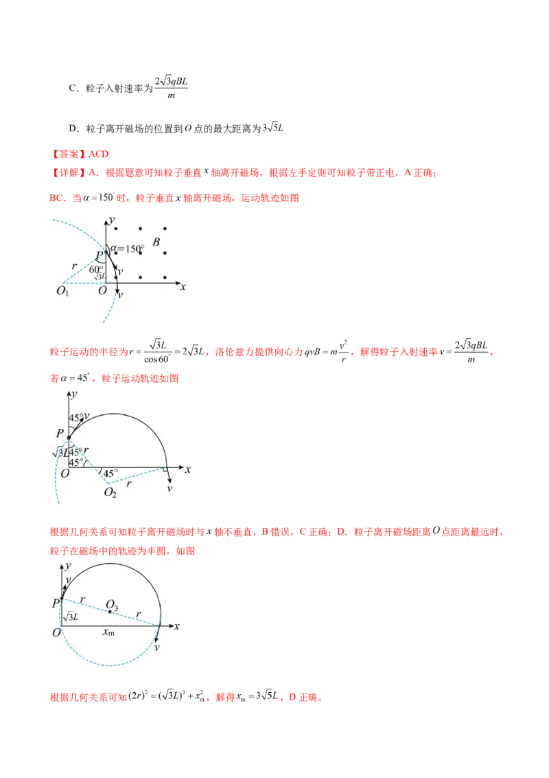 专题10磁场带电粒子在磁场中的运动（练习）（解析版）_4.2025物理总复习_2024年新高考资料_2.2024二轮复习_2024年高考物理二轮复习讲练测（新教材新高考）