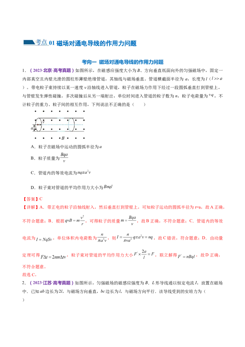 专题10磁场带电粒子在磁场中的运动（练习）（解析版）_4.2025物理总复习_2024年新高考资料_2.2024二轮复习_2024年高考物理二轮复习讲练测（新教材新高考）