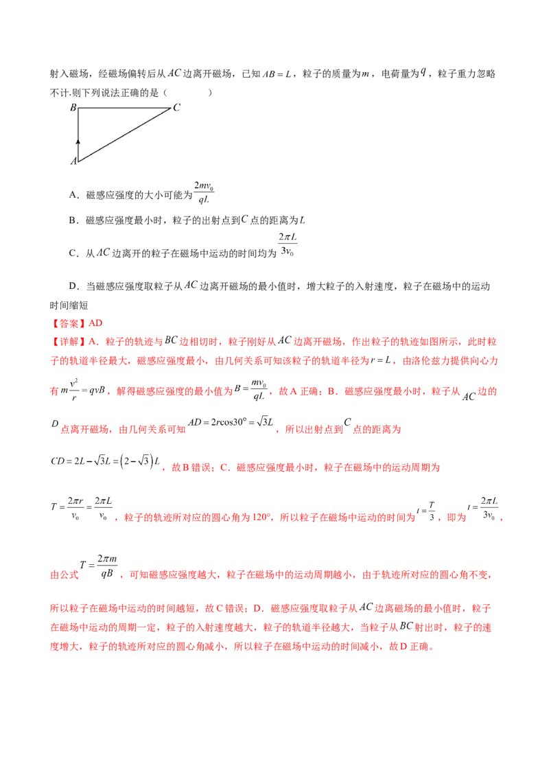 专题10磁场带电粒子在磁场中的运动（练习）（解析版）_4.2025物理总复习_2024年新高考资料_2.2024二轮复习_2024年高考物理二轮复习讲练测（新教材新高考）