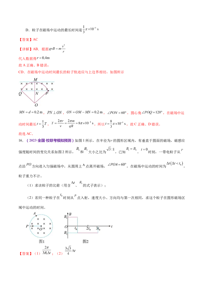 专题10磁场带电粒子在磁场中的运动（练习）（解析版）_4.2025物理总复习_2024年新高考资料_2.2024二轮复习_2024年高考物理二轮复习讲练测（新教材新高考）