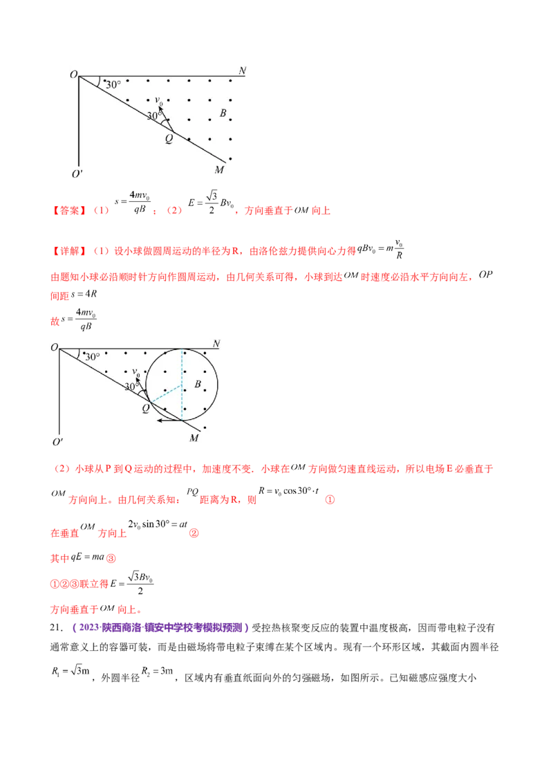 专题10磁场带电粒子在磁场中的运动（练习）（解析版）_4.2025物理总复习_2024年新高考资料_2.2024二轮复习_2024年高考物理二轮复习讲练测（新教材新高考）