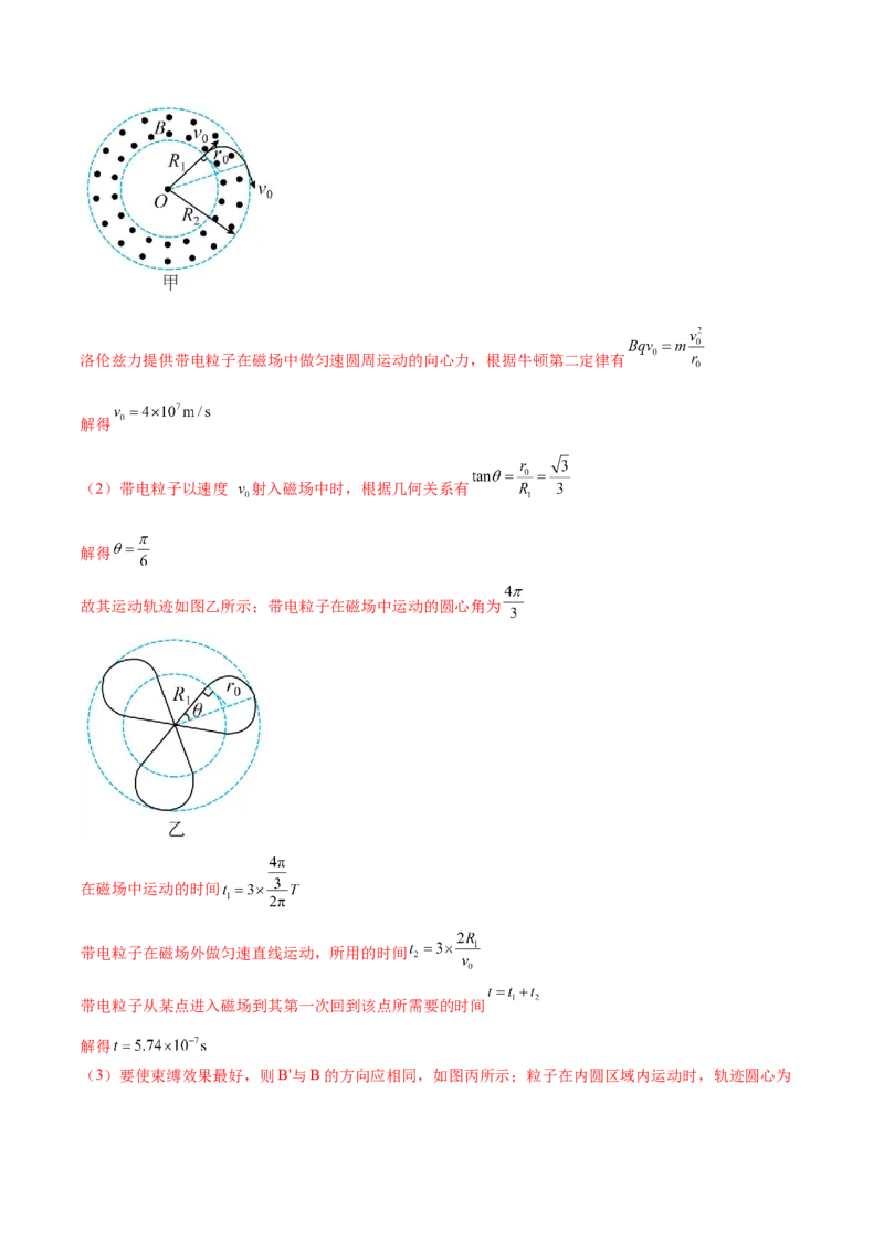 专题10磁场带电粒子在磁场中的运动（练习）（解析版）_4.2025物理总复习_2024年新高考资料_2.2024二轮复习_2024年高考物理二轮复习讲练测（新教材新高考）