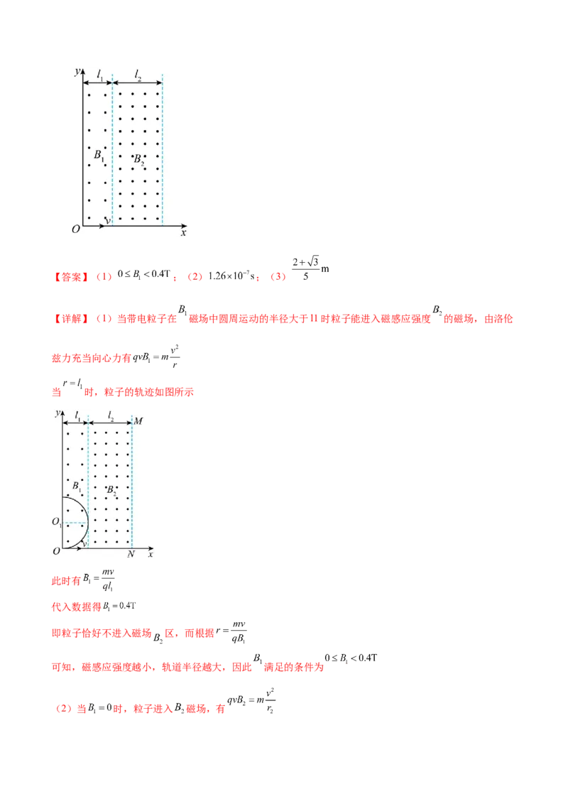 专题10磁场带电粒子在磁场中的运动（练习）（解析版）_4.2025物理总复习_2024年新高考资料_2.2024二轮复习_2024年高考物理二轮复习讲练测（新教材新高考）