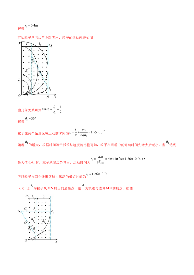 专题10磁场带电粒子在磁场中的运动（练习）（解析版）_4.2025物理总复习_2024年新高考资料_2.2024二轮复习_2024年高考物理二轮复习讲练测（新教材新高考）
