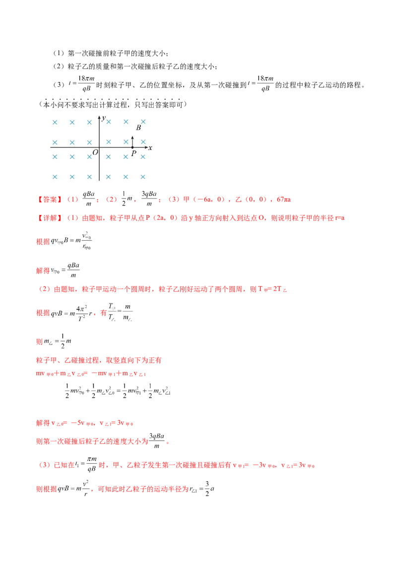 专题10磁场带电粒子在磁场中的运动（练习）（解析版）_4.2025物理总复习_2024年新高考资料_2.2024二轮复习_2024年高考物理二轮复习讲练测（新教材新高考）