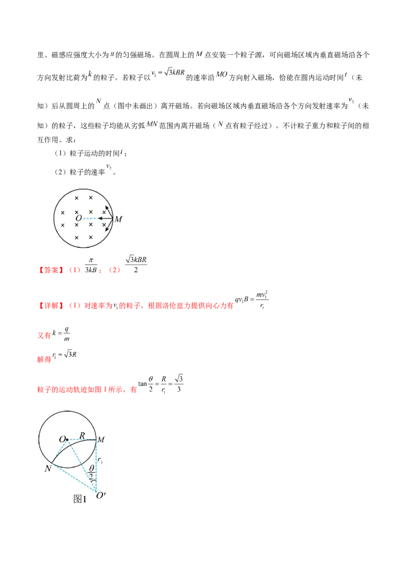 专题10磁场带电粒子在磁场中的运动（练习）（解析版）_4.2025物理总复习_2024年新高考资料_2.2024二轮复习_2024年高考物理二轮复习讲练测（新教材新高考）