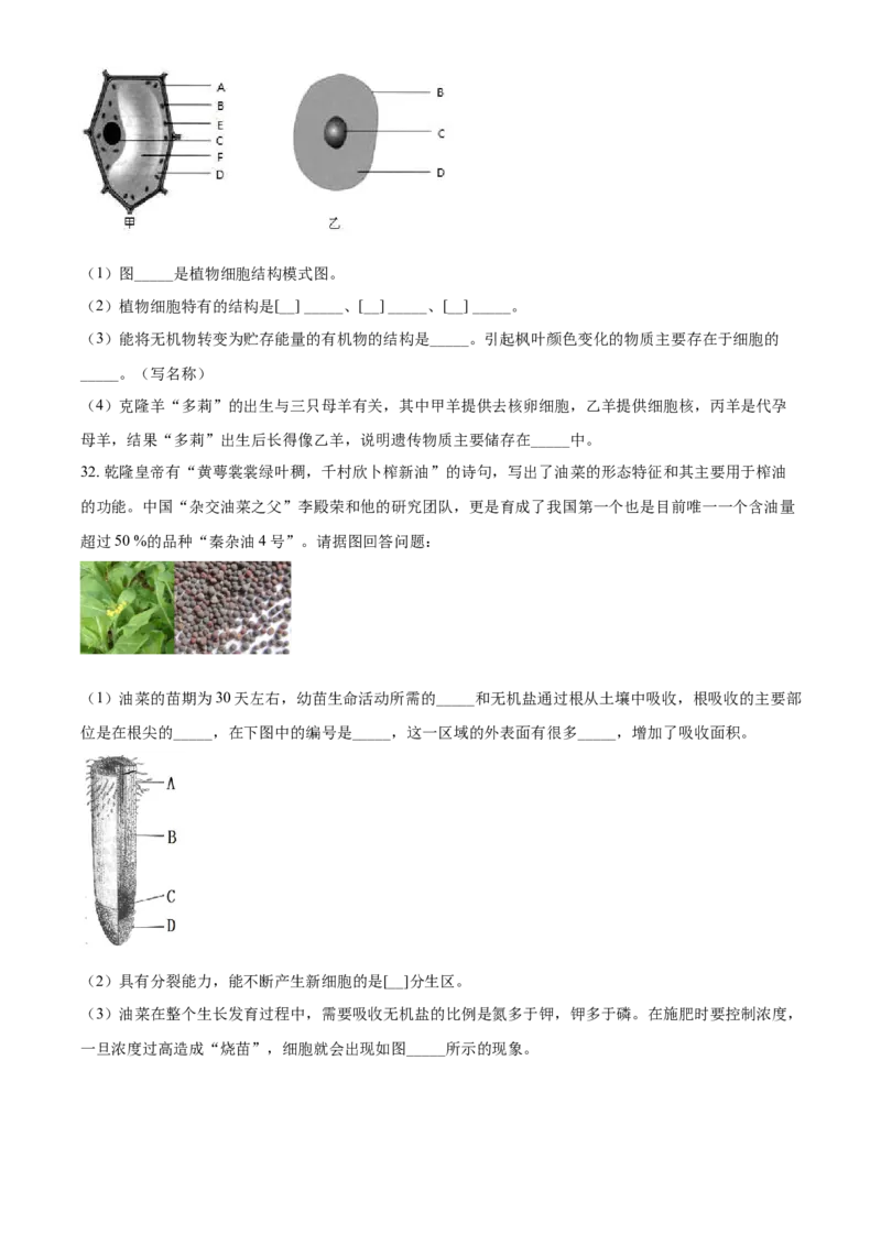 精品解析：北京市顺义区2019-2020学年七年级上学期期末生物试题（原卷版）(1)_北京初中期末题_C605-京七八九_B京生物七八九_北京7上生物_2019-2020